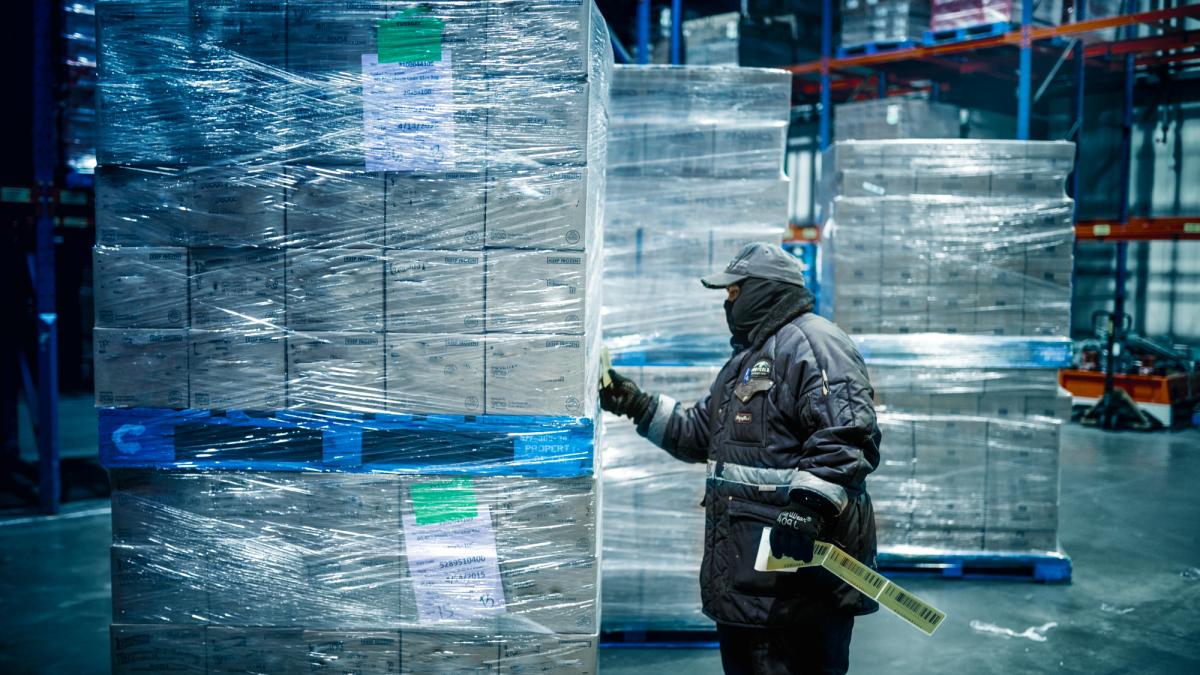 Freezer Warehouse Worker in Cold Chain Warehouse